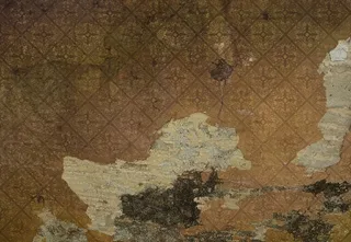 欧式复古花纹墙纸图片