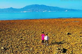 中国海洋风光 南澳杨梅坑图片