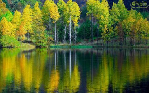 高清电脑桌面背景壁纸