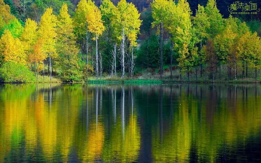 高清电脑桌面背景壁纸