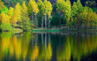 高清电脑桌面背景壁纸