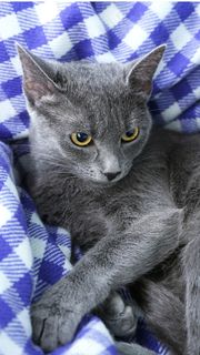 美丽的城市夜景高清摄影图片