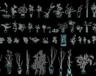 家居摆放植物立面素材图库