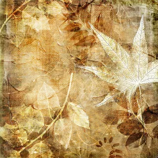 油画树叶图片 油画树叶图片