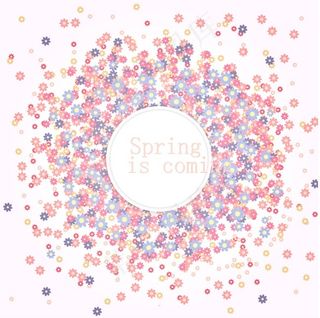 繁星点点的花盘