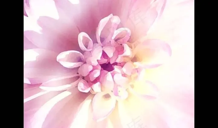 婚礼视频素材图片