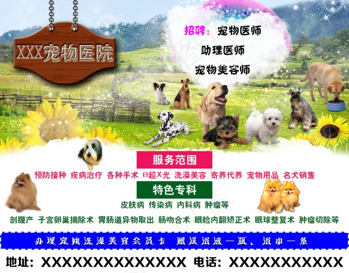宠物医院宣传海报psd模版下载