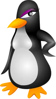 女士礼服剪辑艺术