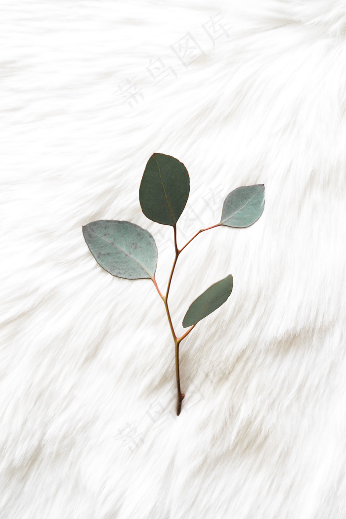 简约小清新文艺风插花静物摆拍背景