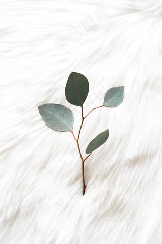 简约小清新文艺风插花静物摆拍背景