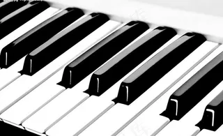 琴键图片