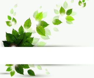 绿叶背景图片