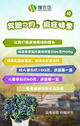 搜农坊蓝莓宣传APP页面