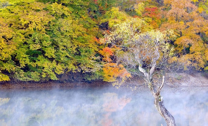 风景画图片