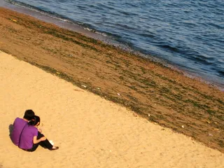 青岛栈桥夏日午后图片