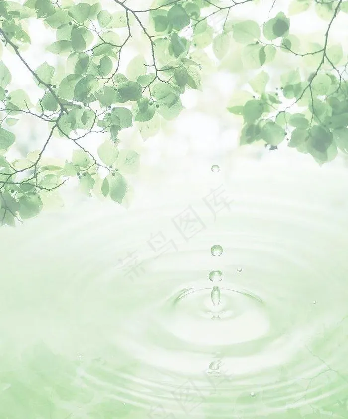 水 树叶水滴 水纹图片