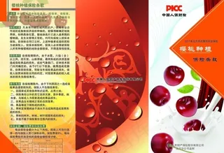 樱桃农业保险彩页图片