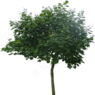 精品园林景观后期PNG免扣素材