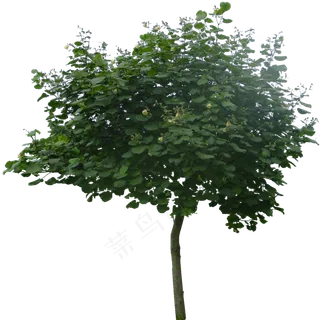 精品园林景观后期PNG免扣素材