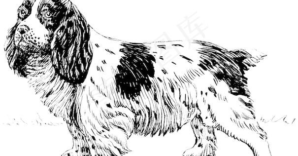 小猎犬2