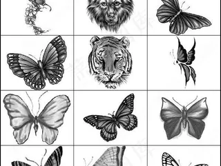 最新动物笔刷图片