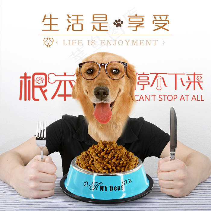 创意图狗粮钻展直通车psd模版下载