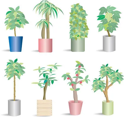 66盆栽植物载体ai矢量模版下载