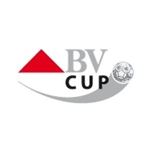 BV杯