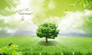 草地上的白鸽与大树图片