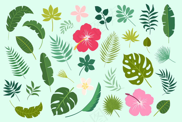 热带雨林植物花卉矢量素材