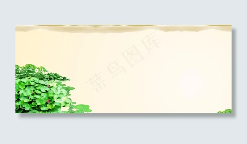 睡莲背景图图片psd模版下载