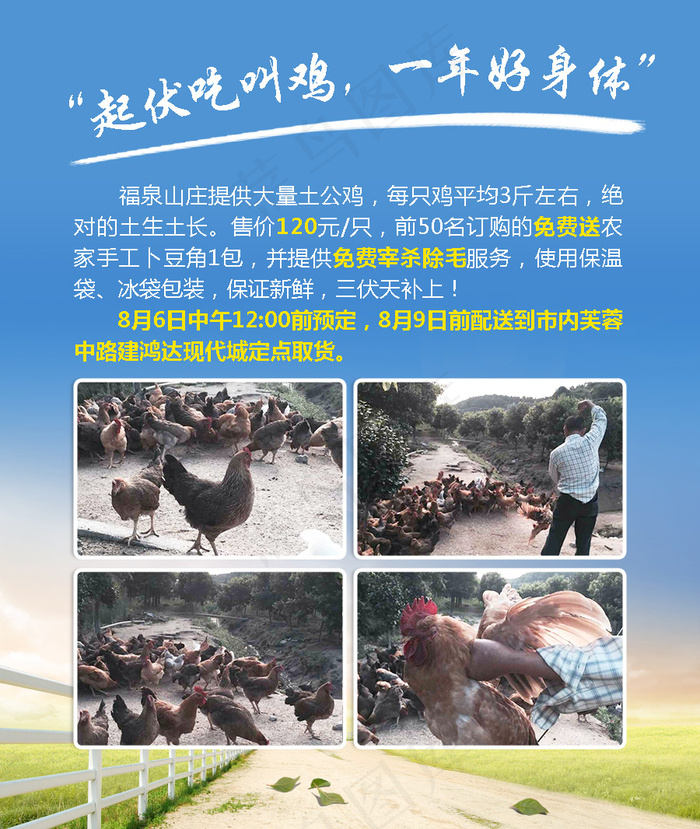 农业土特产叫鸡海报