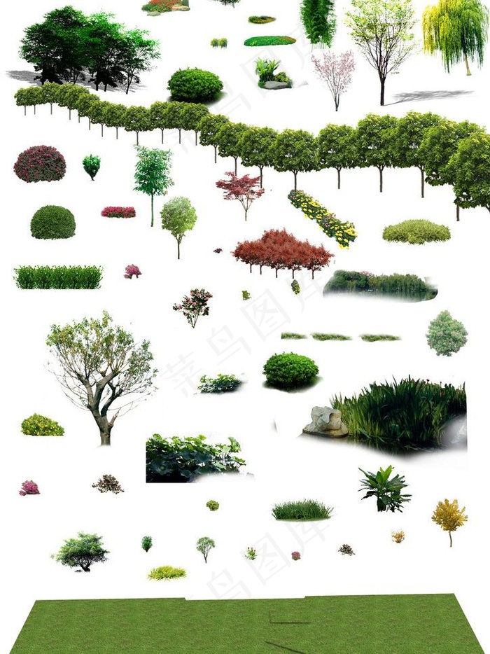 鸟瞰植物素材图片