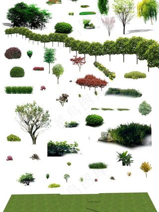 鸟瞰植物素材图片