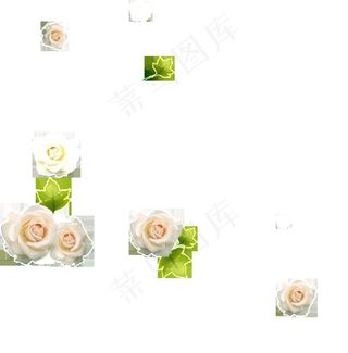 两朵白玫瑰免抠png透明图层素材