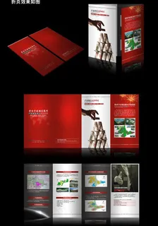 烟花爆竹产业园区简介折页图片 烟花爆竹产业园区简介折页图片