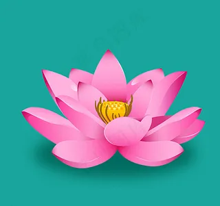 盛开的荷花图片