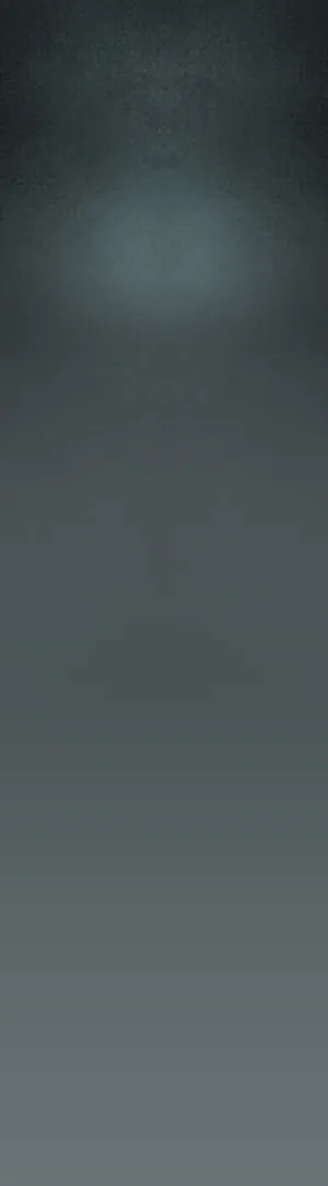 灰黑时尚模特公司网页模板