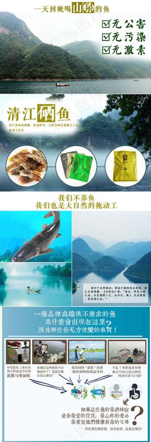 清江鱼创意海报图