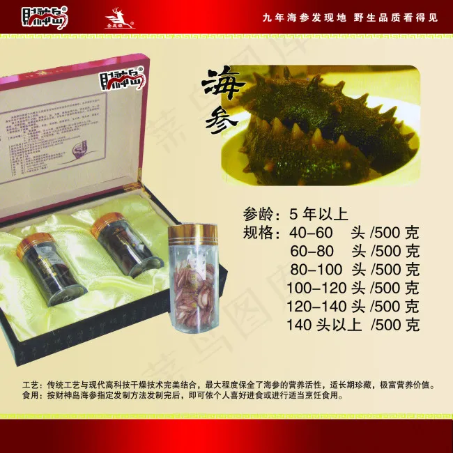 海参psd模版下载