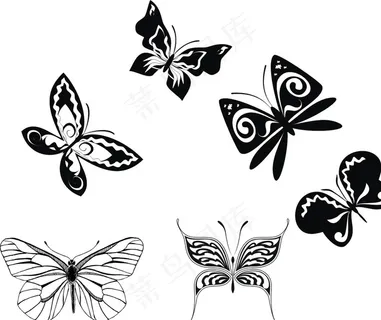 矢量蝴蝶图片