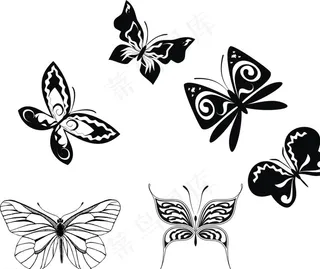 矢量蝴蝶图片