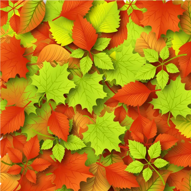 缤纷秋季落叶矢量素材eps,ai矢量模版下载