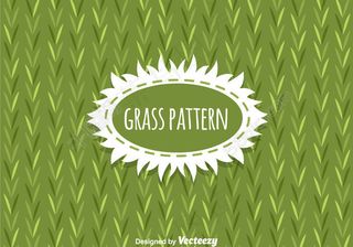 草花纹背景矢量