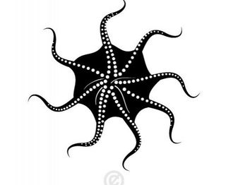 章鱼矢量图像