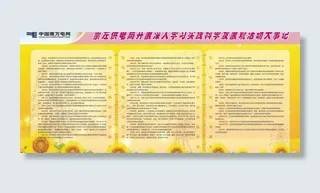 崇左供电局开展深入学习实践科学发展...