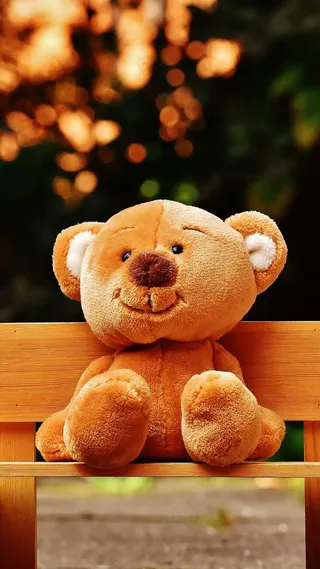 坐在木椅上的公仔熊高清摄影图片