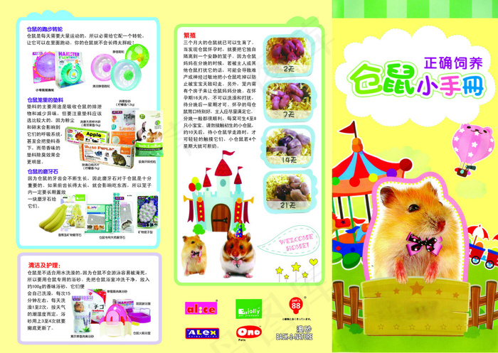 仓鼠饲养手册(3508X2492(DPI:300))psd模版下载