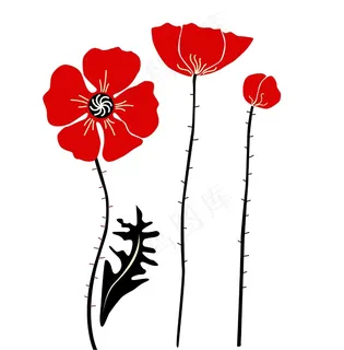 时尚的红色和黑色的罂粟花 白色背景 时尚的红色和黑色的罂粟花 白色背景