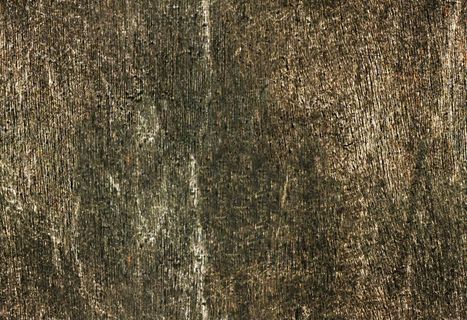 室内家居3D模型